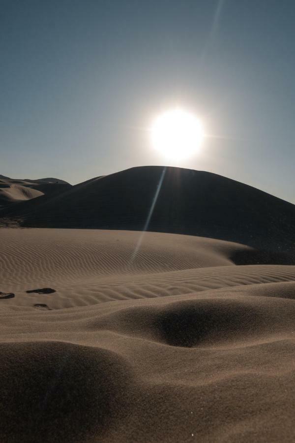 Wild South Peru Ica Exterior foto